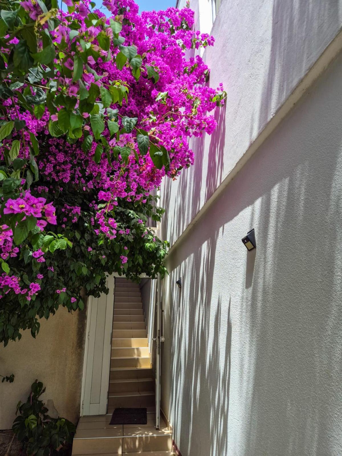 טוראני Apartments And Pansion M&R מראה חיצוני תמונה